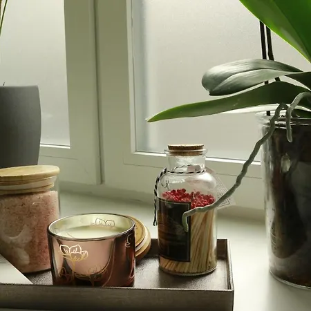 Am City Apartment 24H Self-Check-In, Free Parking, U-Bahn 350M, Netflix Nürnberg Eksteriør billede